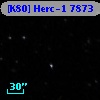 [K80] Herc-1  7873