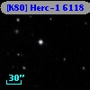 [K80] Herc-1  6118