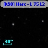 [K80] Herc-1  7512