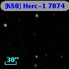 [K80] Herc-1  7074