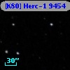 [K80] Herc-1  9454