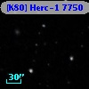 [K80] Herc-1  7750