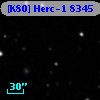 [K80] Herc-1  8345