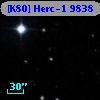 [K80] Herc-1  9838