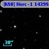 [K80] Herc-1 14398