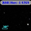 [K80] Herc-1  8769