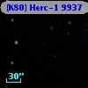 [K80] Herc-1  9937