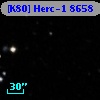 [K80] Herc-1  8658