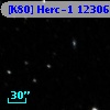 [K80] Herc-1 12306