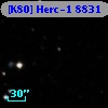 [K80] Herc-1  8831