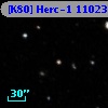[K80] Herc-1 11023