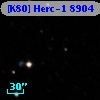 [K80] Herc-1  8904