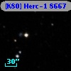 [K80] Herc-1  8667