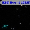 [K80] Herc-1 10395