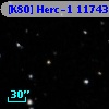 [K80] Herc-1 11743