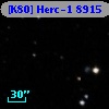 [K80] Herc-1  8915