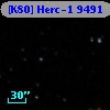 [K80] Herc-1  9491