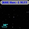 [K80] Herc-1  9577