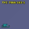 TYC 7966-163-1