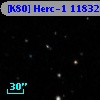 [K80] Herc-1 11832