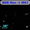 [K80] Herc-1  4983