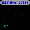 [K80] Herc-1  7988