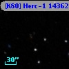 [K80] Herc-1 14362