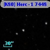 [K80] Herc-1  7448