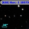 [K80] Herc-1 10979