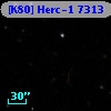 [K80] Herc-1  7313