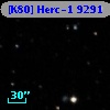 [K80] Herc-1  9291