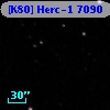 [K80] Herc-1  7090