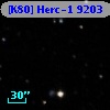 [K80] Herc-1  9203