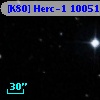 [K80] Herc-1 10051