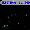 [K80] Herc-1 14269