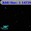 [K80] Herc-1 14739