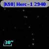 [K80] Herc-1  2940