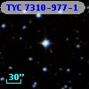 TYC 7310-977-1