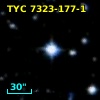 TYC 7323-177-1