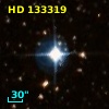 HD 133319