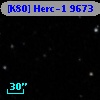 [K80] Herc-1  9673