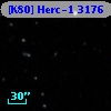 [K80] Herc-1  3176
