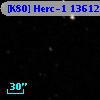 [K80] Herc-1 13612