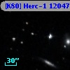 [K80] Herc-1 12047