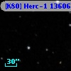 [K80] Herc-1 13606