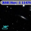 [K80] Herc-1 11478