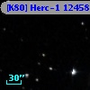 [K80] Herc-1 12458