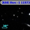[K80] Herc-1 11973