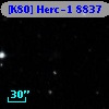 [K80] Herc-1  8837