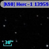[K80] Herc-1 13958